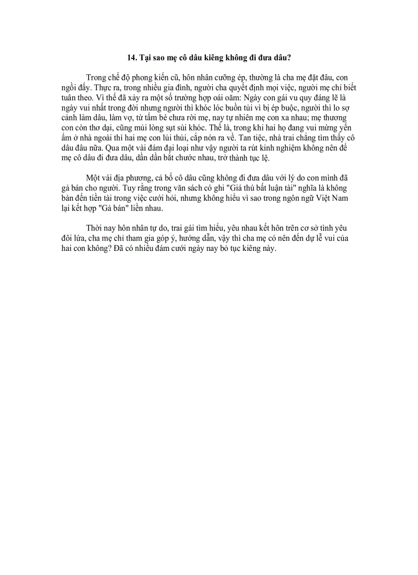 image for page Phong Tục Việt Nam