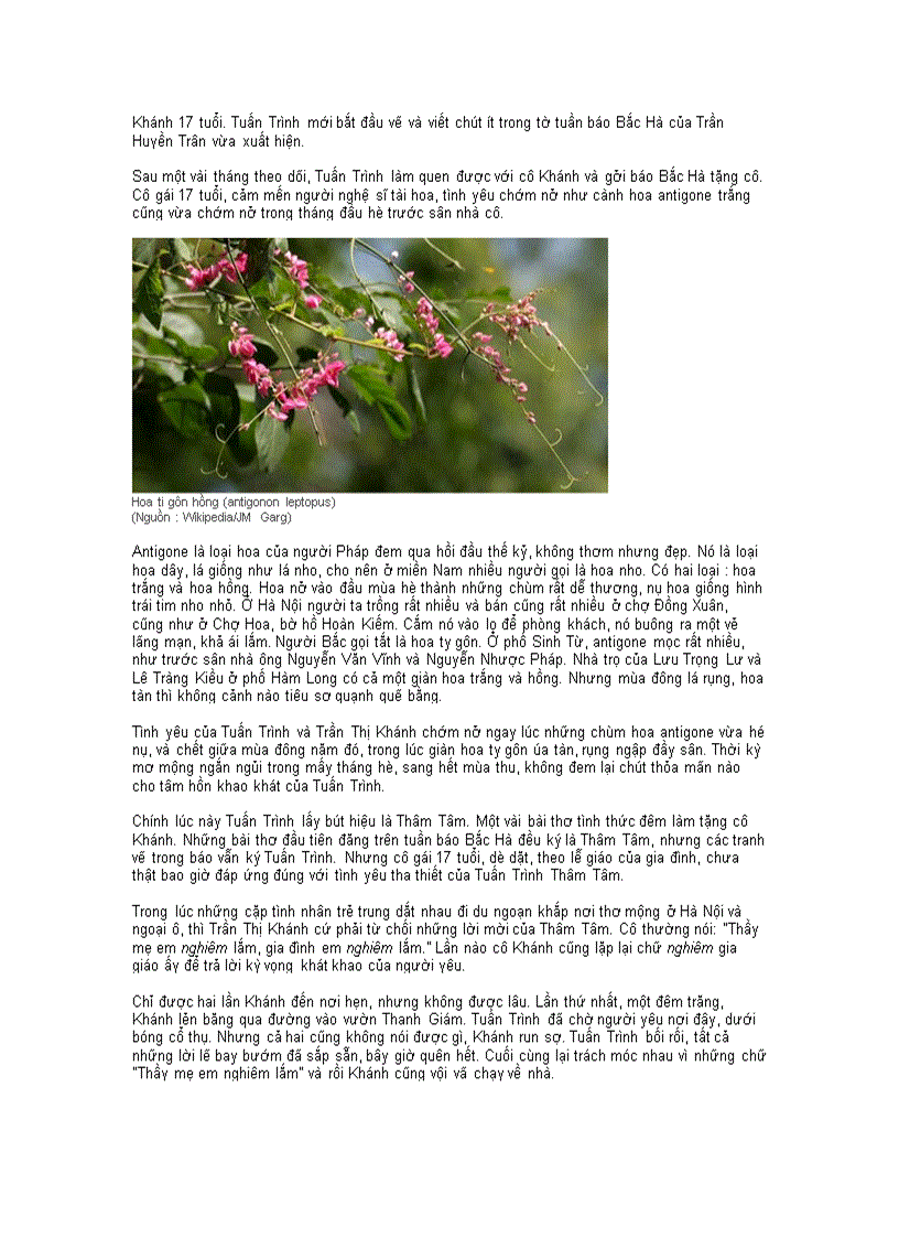 image for page Sự thật về TTKH và bài thơ Hai sắc hoa Tigon