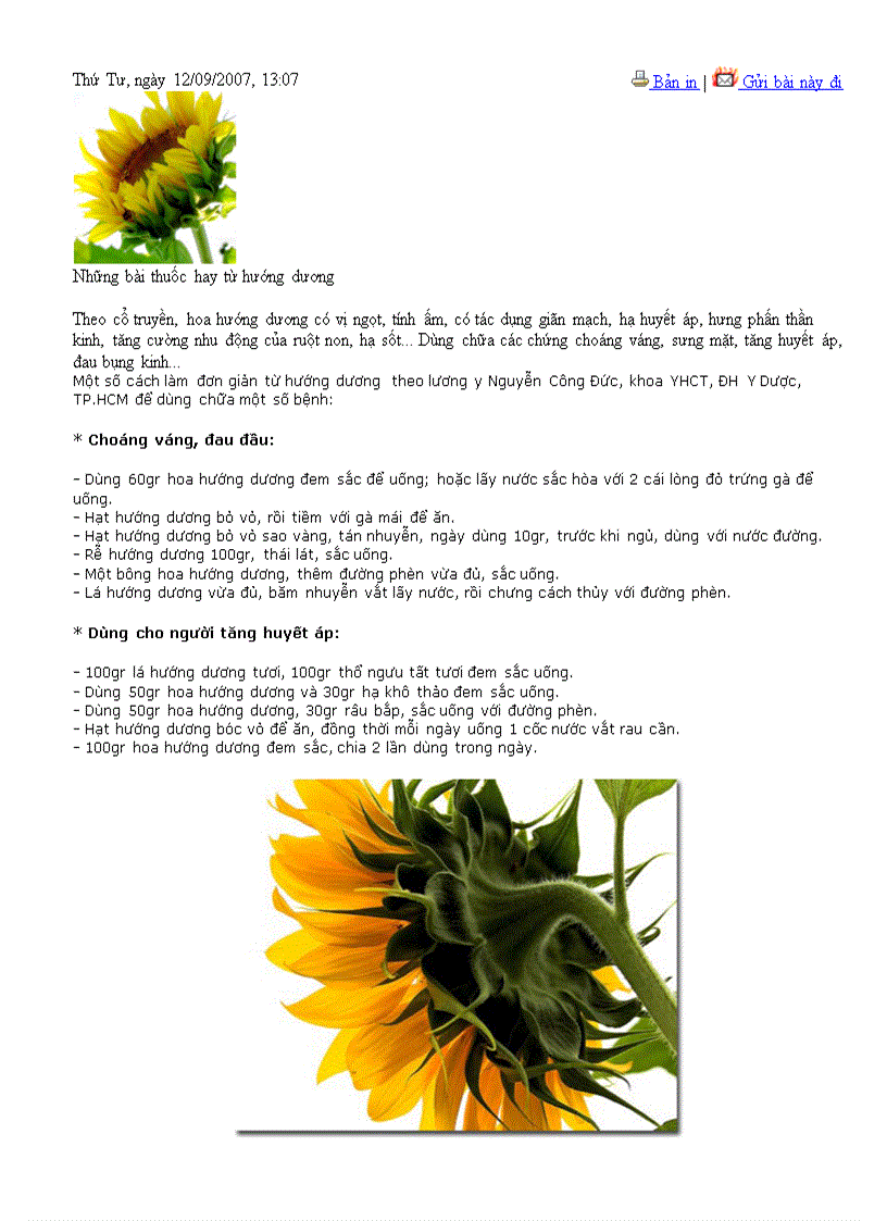 image for page Sức khỏe cho mọi người