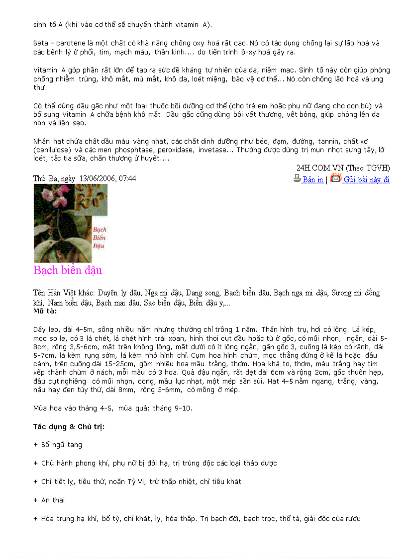 image for page Sức khỏe cho mọi người