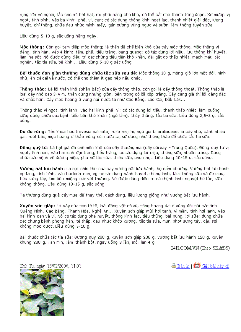 image for page Sức khỏe cho mọi người