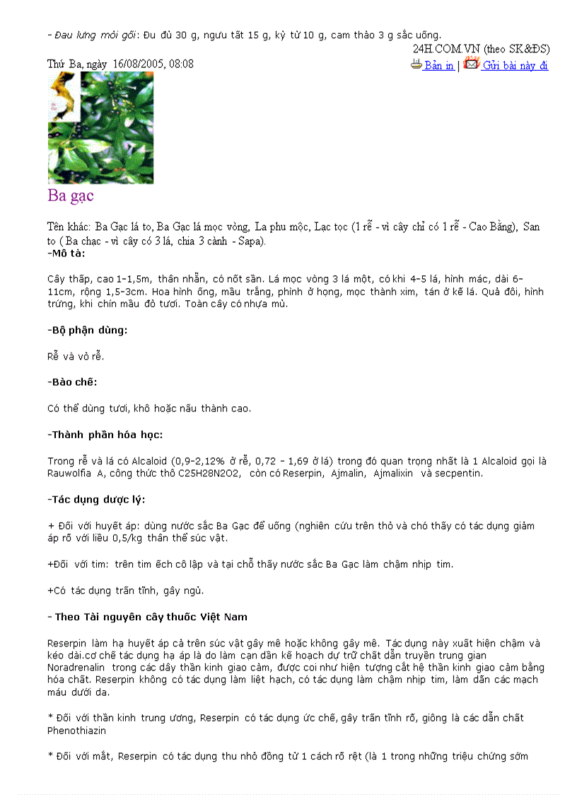 image for page Sức khỏe cho mọi người