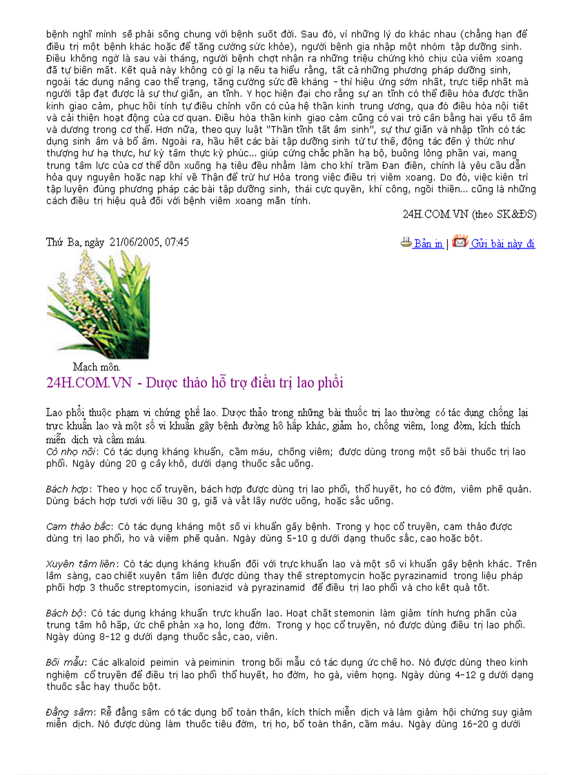 image for page Sức khỏe cho mọi người