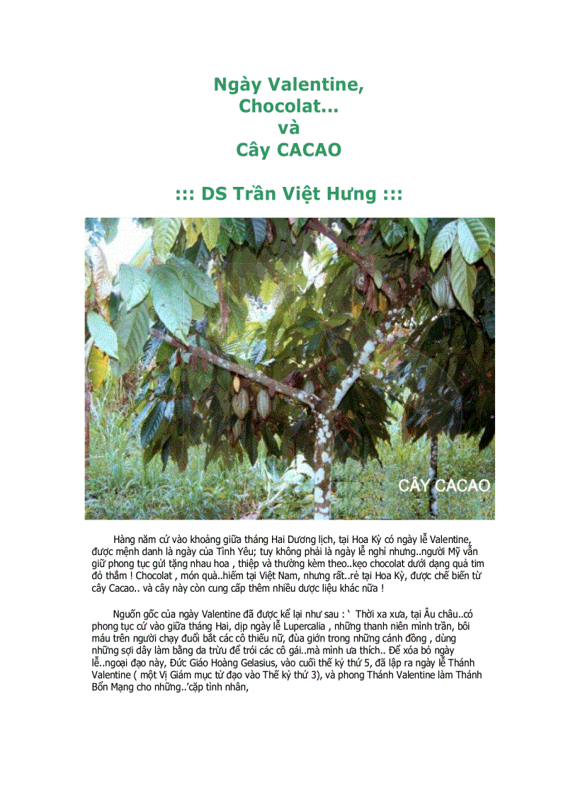 image for page Tu dien thao duoc quy