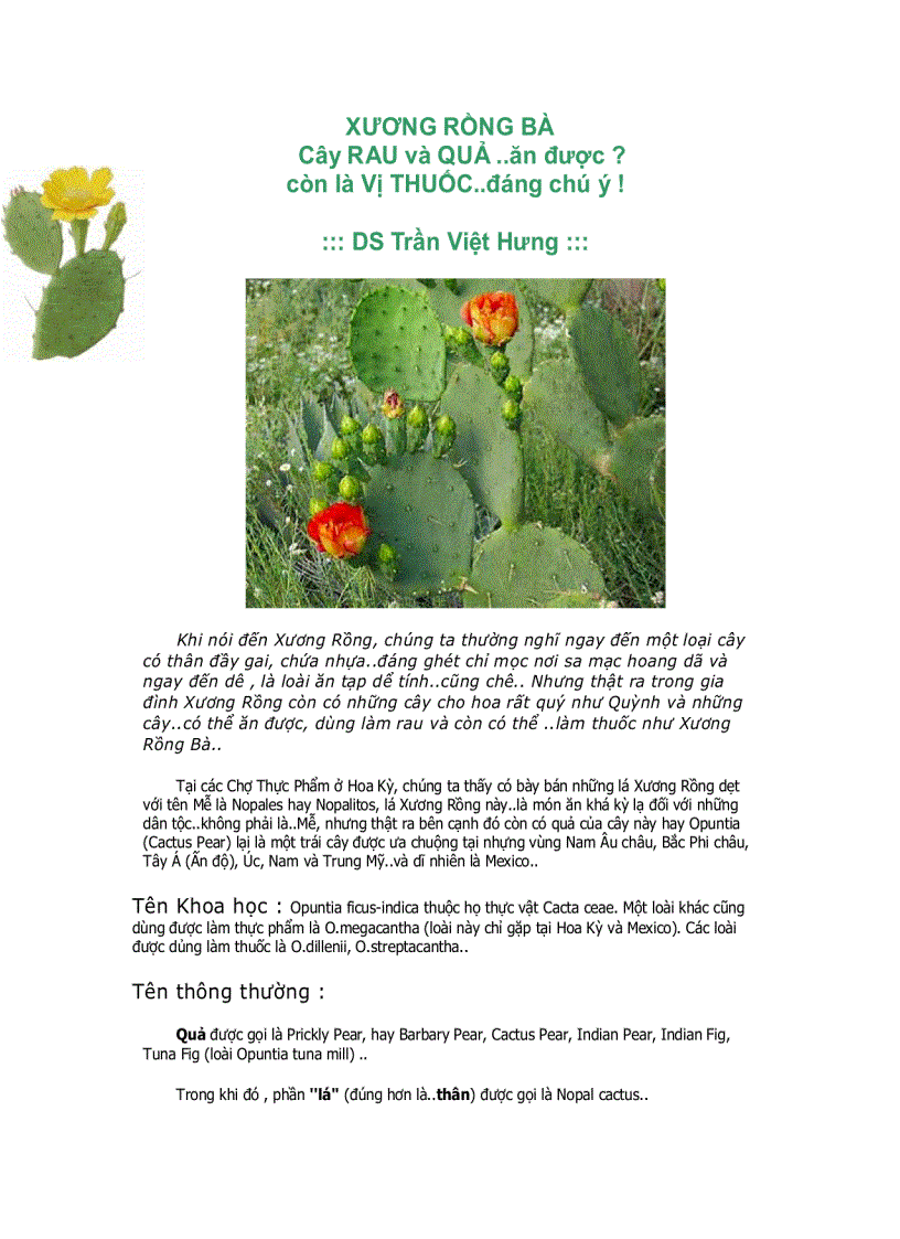 image for page Tu dien thao duoc quy