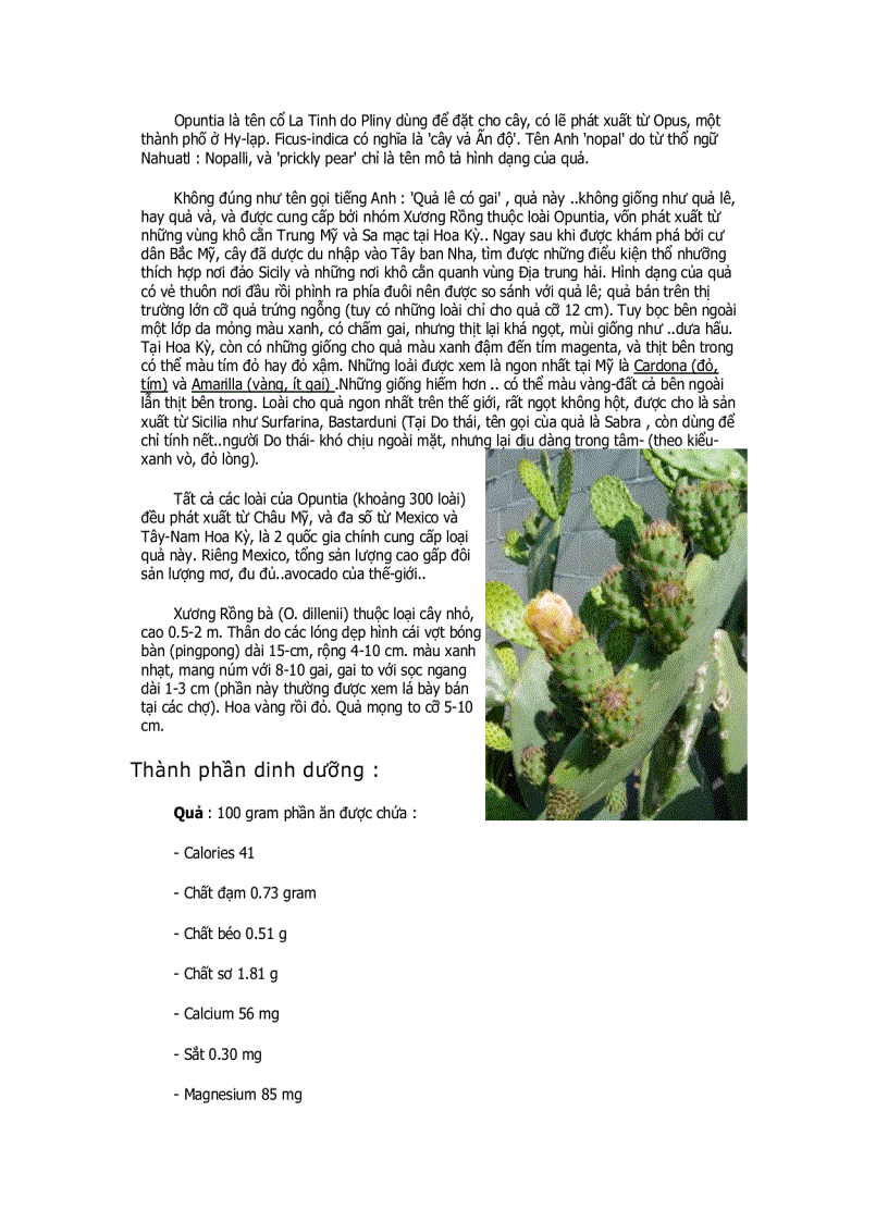 image for page Tu dien thao duoc quy