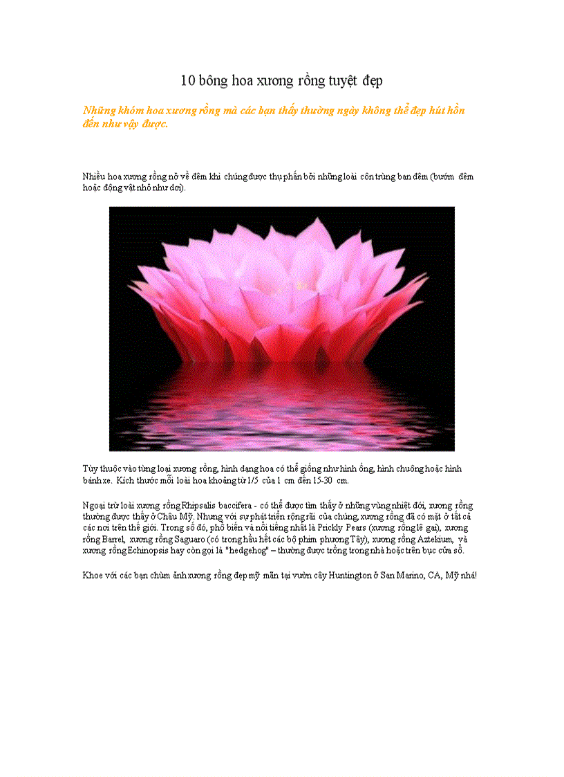 image for page 10 bông hoa xương rồng tuyệt đẹp