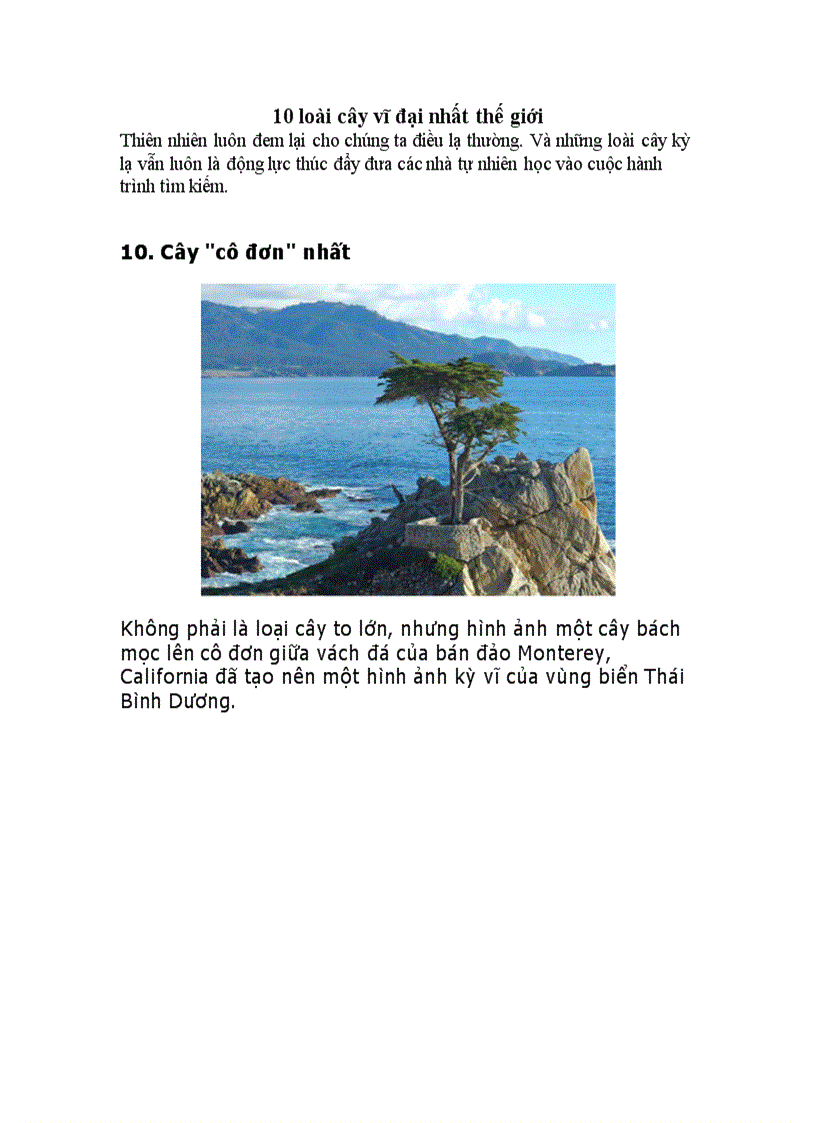 image for page 10 loài cây vĩ đại nhất thế giới