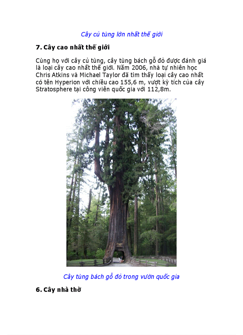 image for page 10 loài cây vĩ đại nhất thế giới
