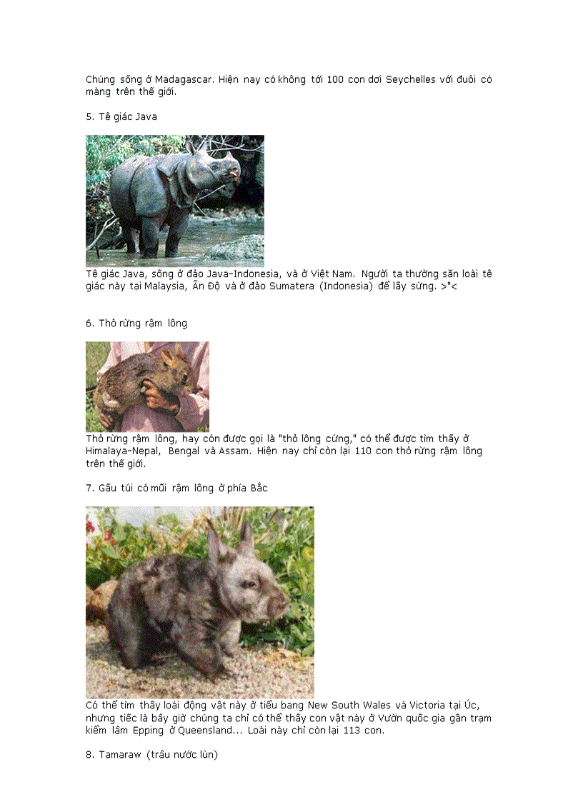 image for page 20dong vat qui hiem