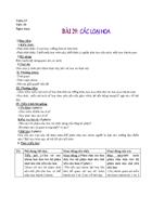 Bài 29 Các loại hoa