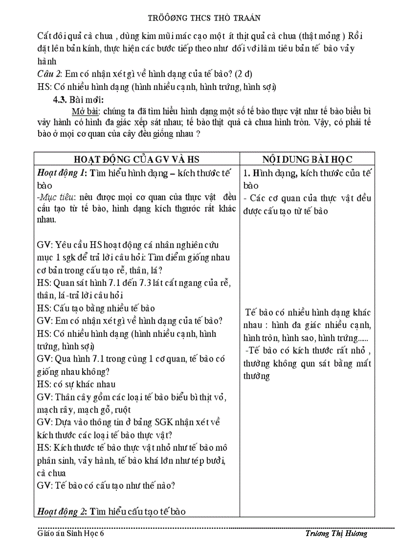 image for page Bai cau tao te bao thuc vat