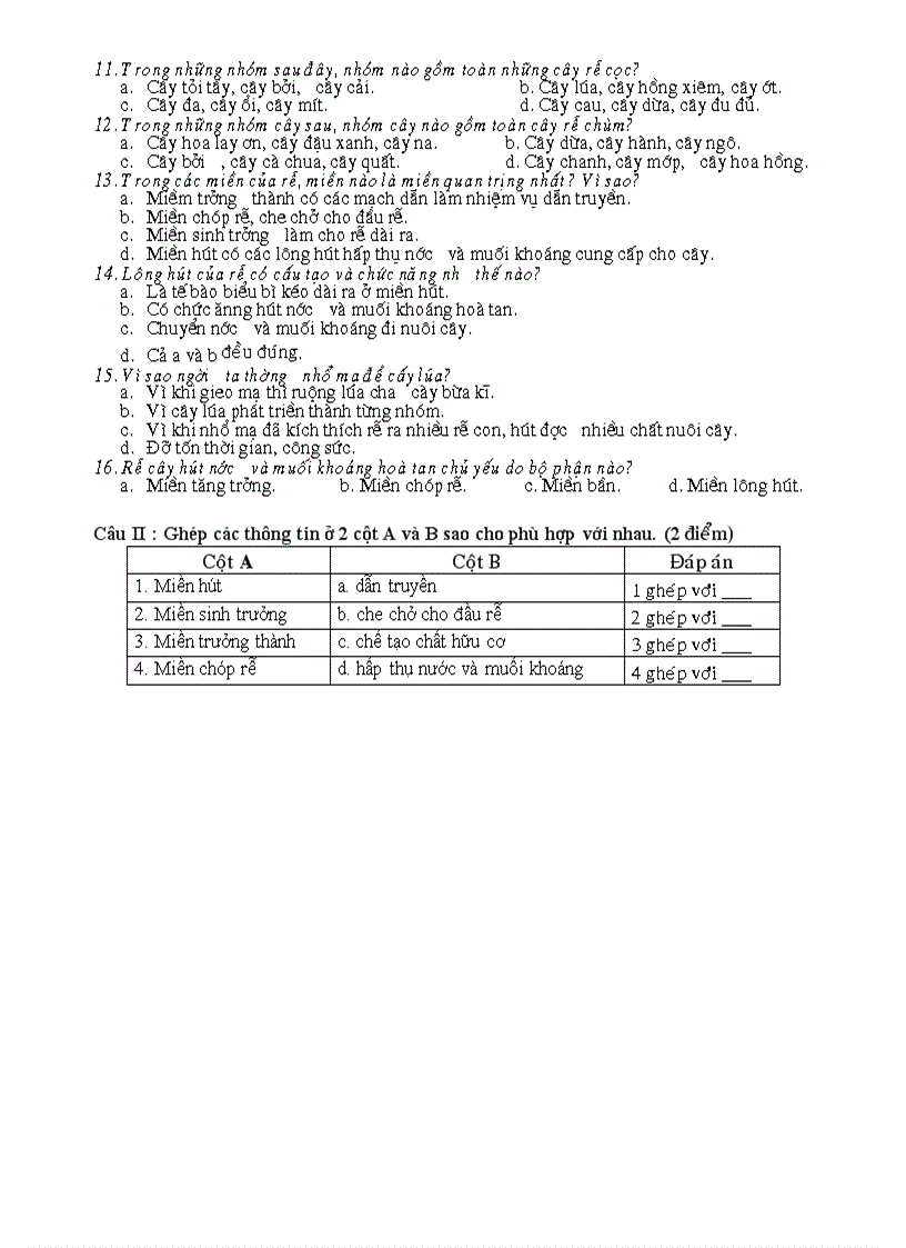 image for page Bai kiem tra 15 phut