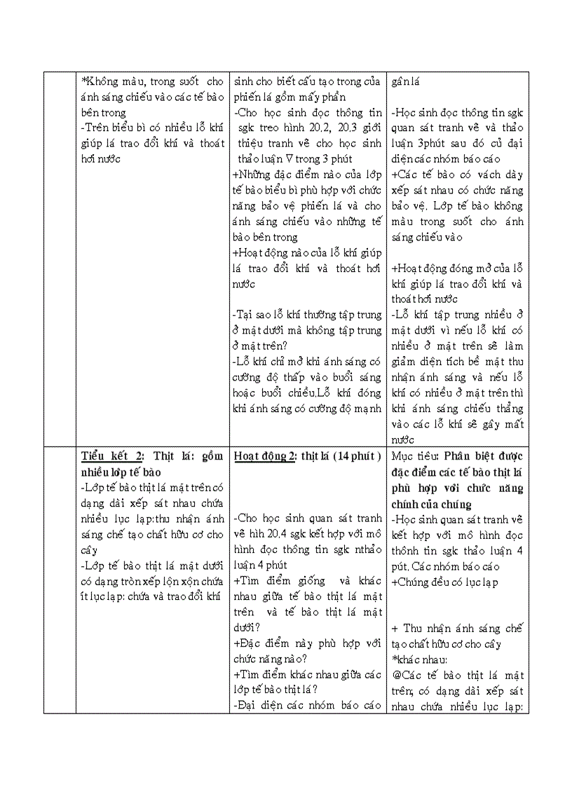image for page Bài 20 Cấu tạo trong của phiến lá 1