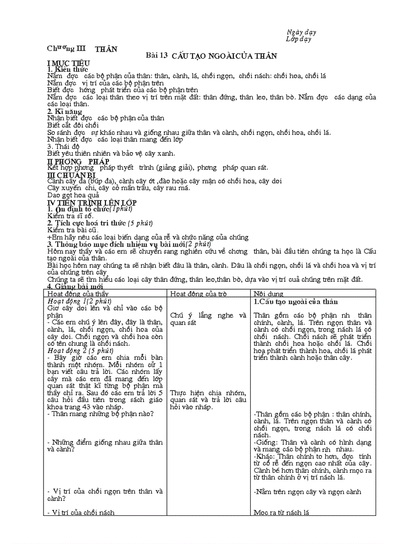 image for page Cấu tạo ngaòi của thân