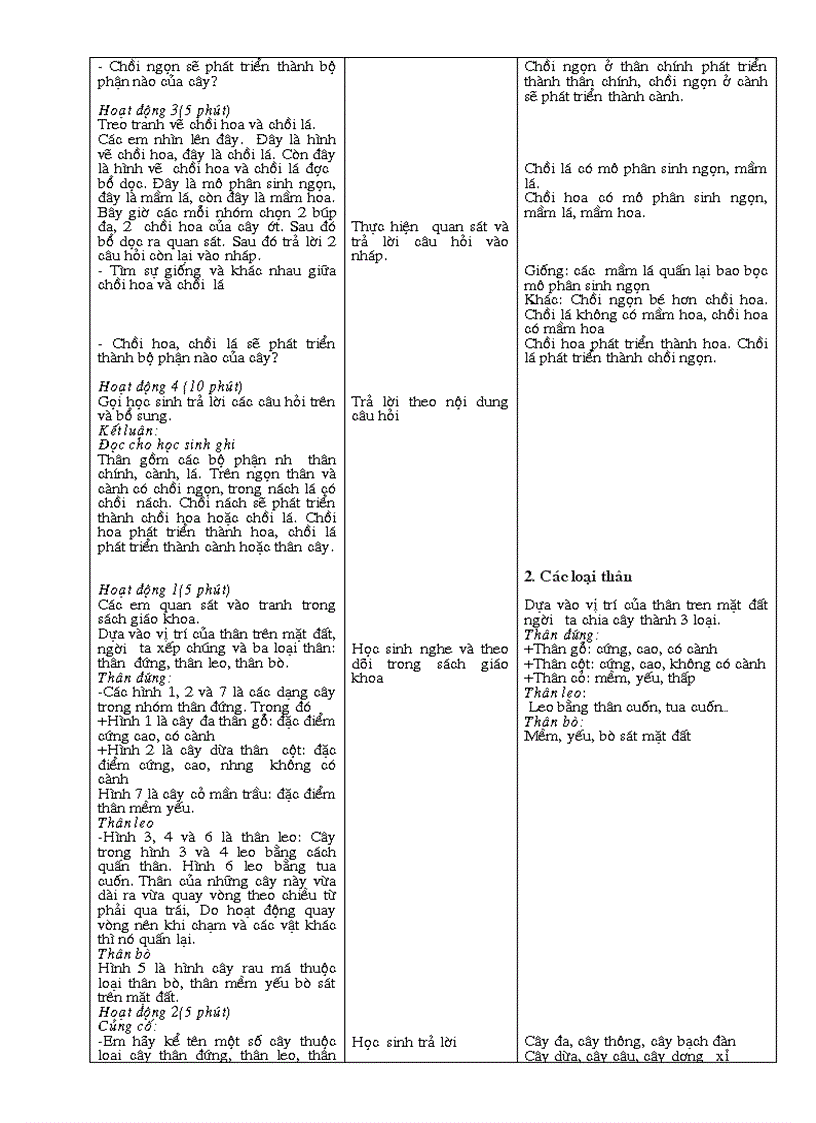 image for page Cấu tạo ngaòi của thân