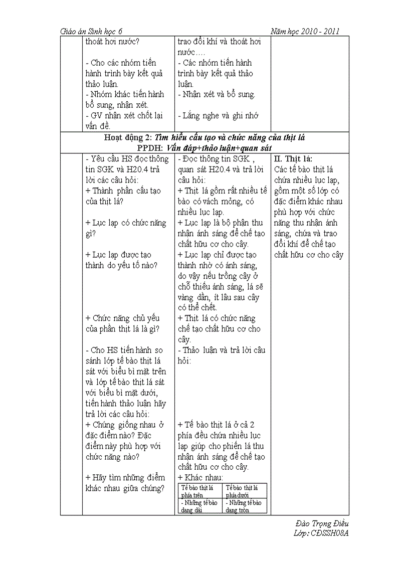 image for page Cấu tạo trong phiến lá