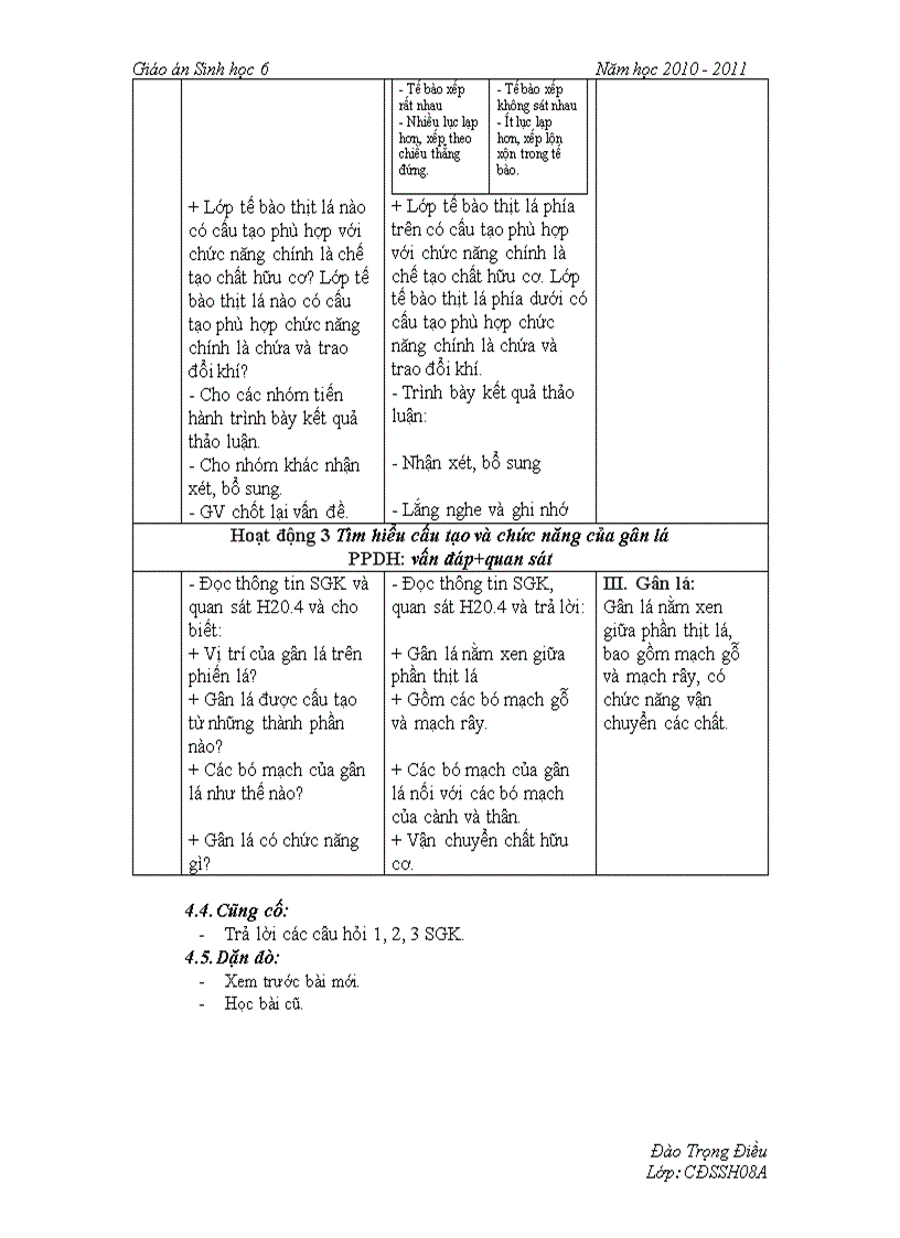 image for page Cấu tạo trong phiến lá