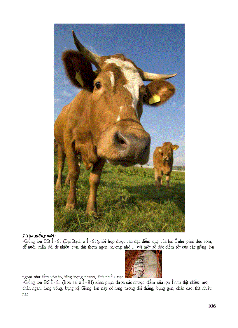 image for page Chuẩn kiến thức sinh học thcs