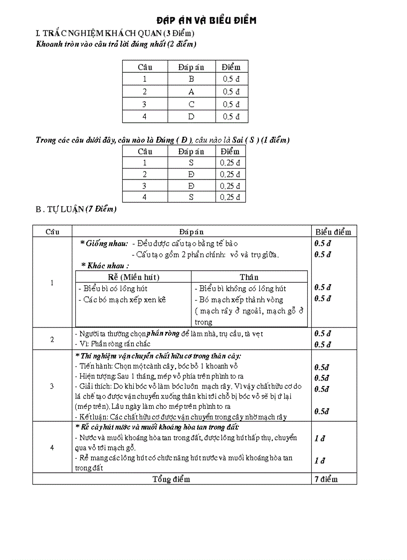 image for page De KT co Ma Tran