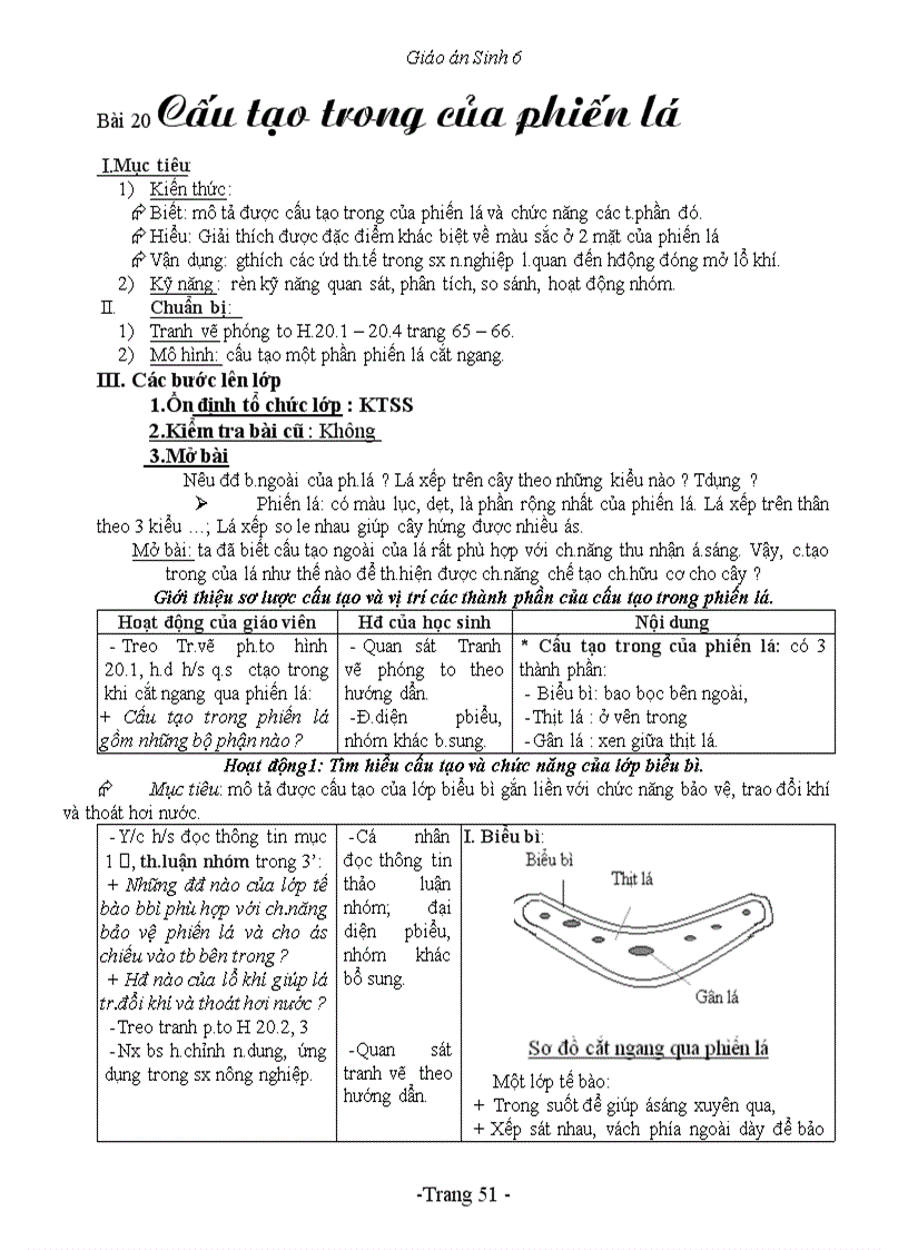 image for page Giáo án Sinh 6 3 cột