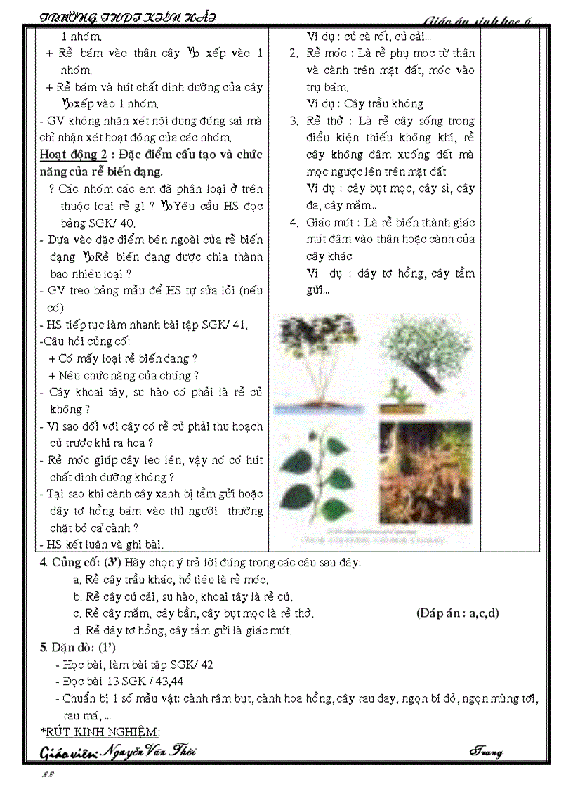 image for page Giao an sinh 6 ca nam chinh sua