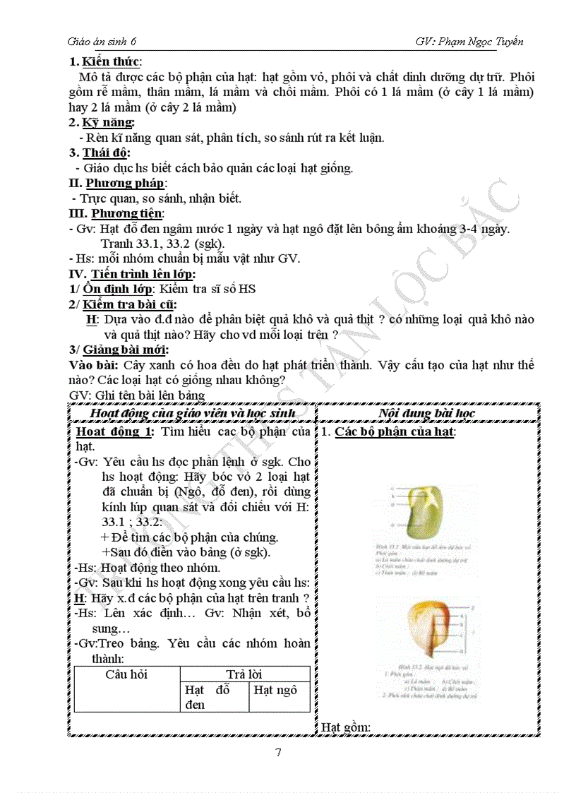 image for page Giáo án sinh 6 hk 2