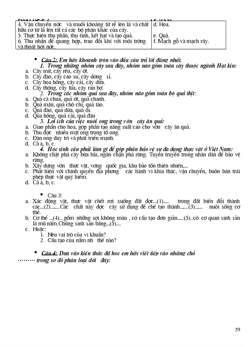 image for page Giáo án Sinh học 6 chỉ cần in 2 cột