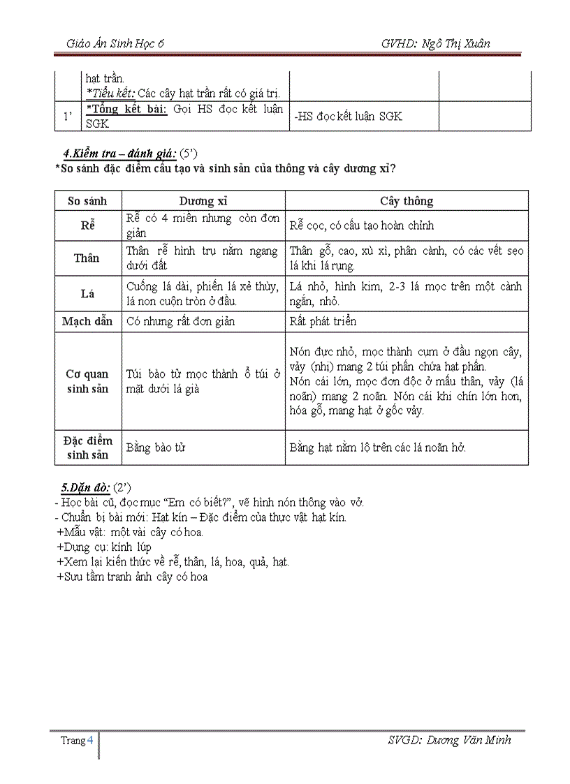 image for page Hạt trần cây thông