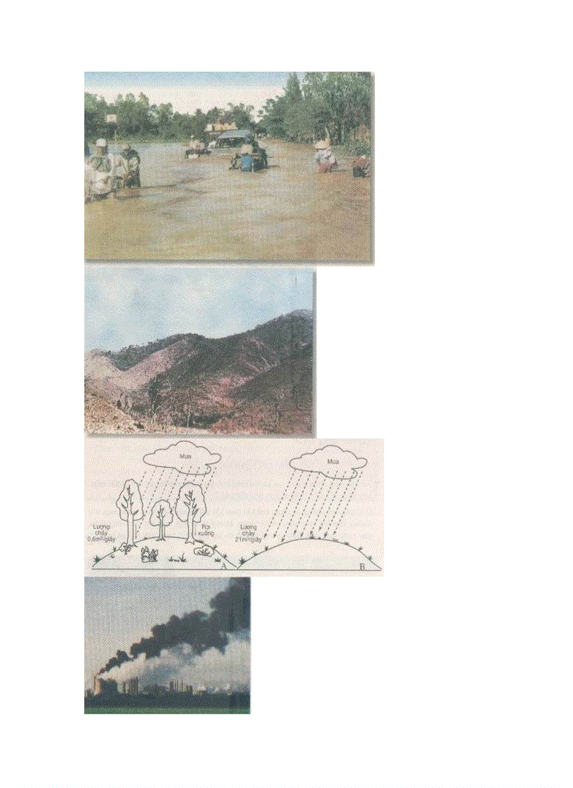 image for page Hình Ảnh sinh 6