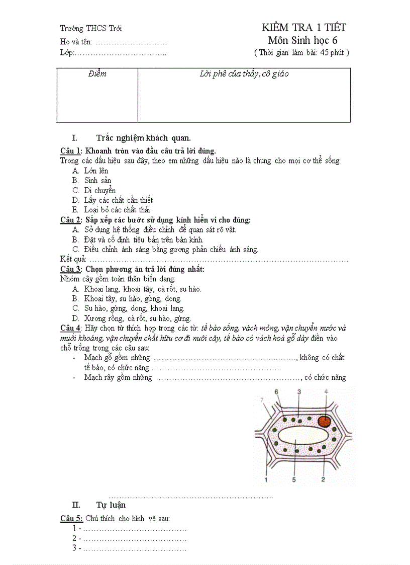 image for page Kiểm tra 1 tiết Sinh học 6 Học kì I