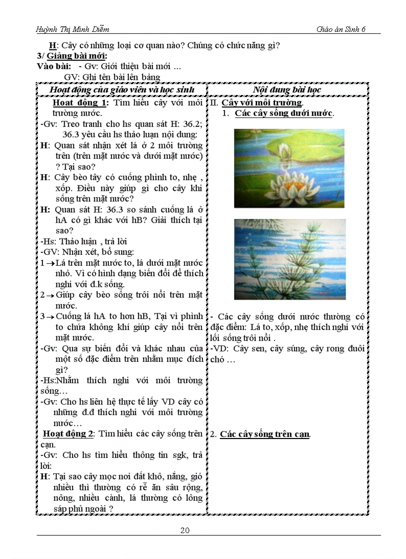 image for page Sinh 6 chuan kien thuc ki năng ki ii