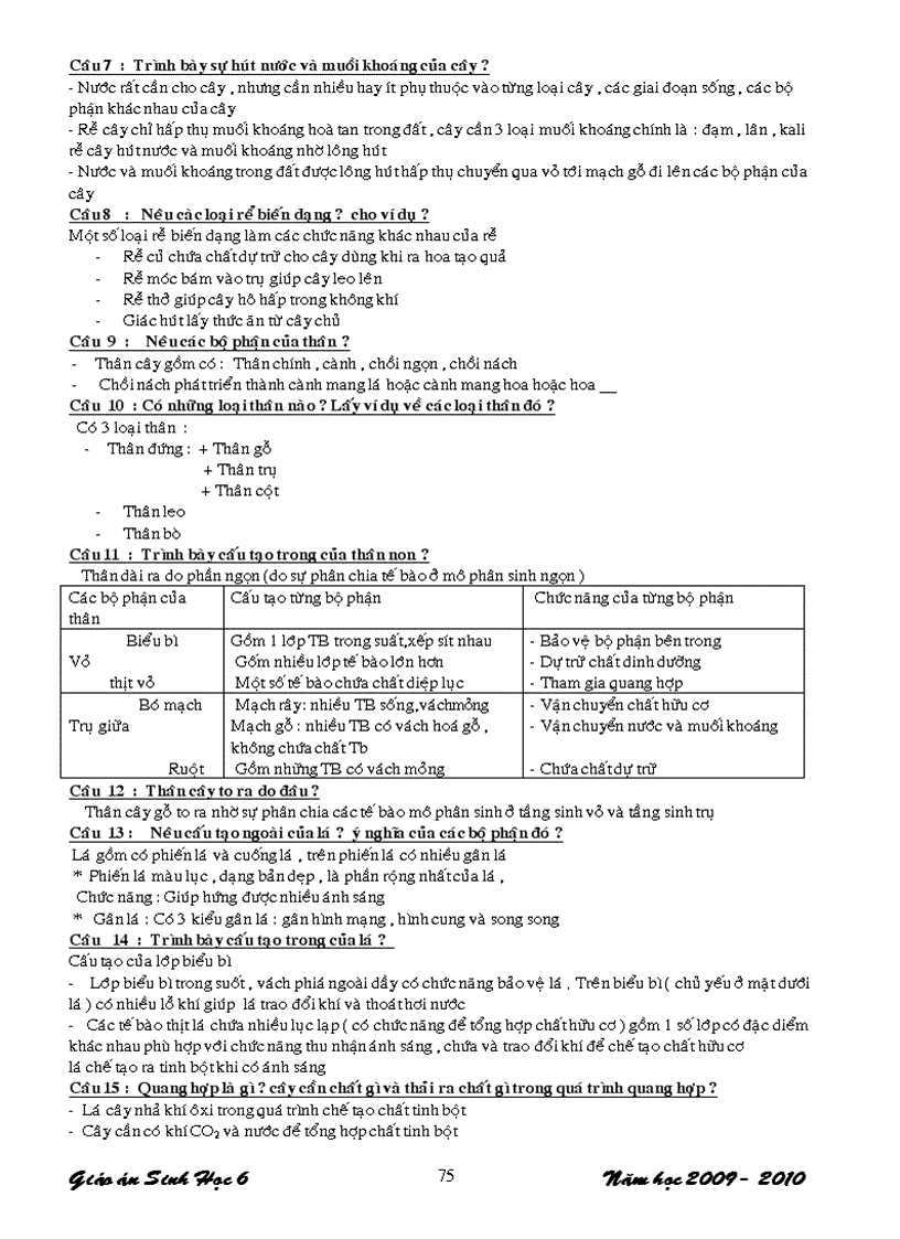 image for page Sinh 6 CN 3 cot hay tuyet