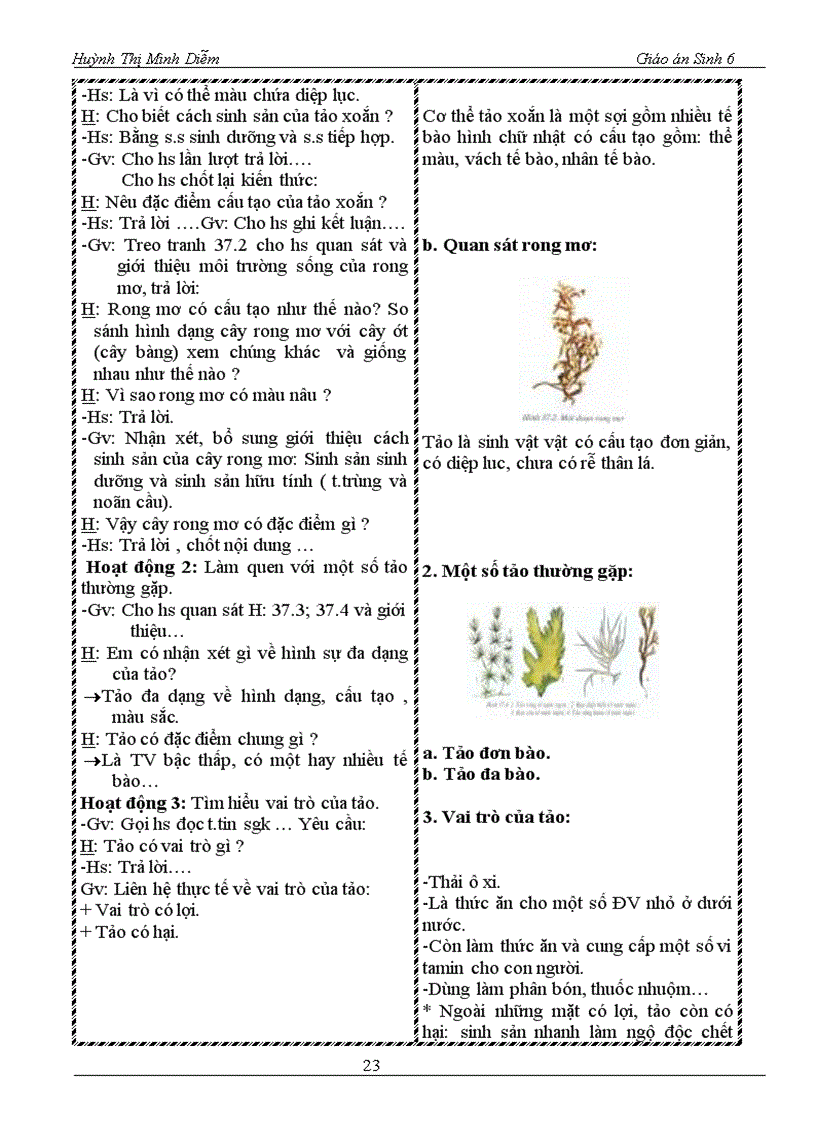 image for page Sinh hoc 6 chuan kien thuc ki năng hoc ki ii