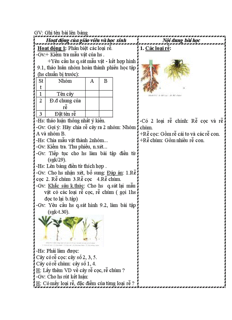 image for page Sinh học 6 chuẩn kiến thức kĩ năng ki i
