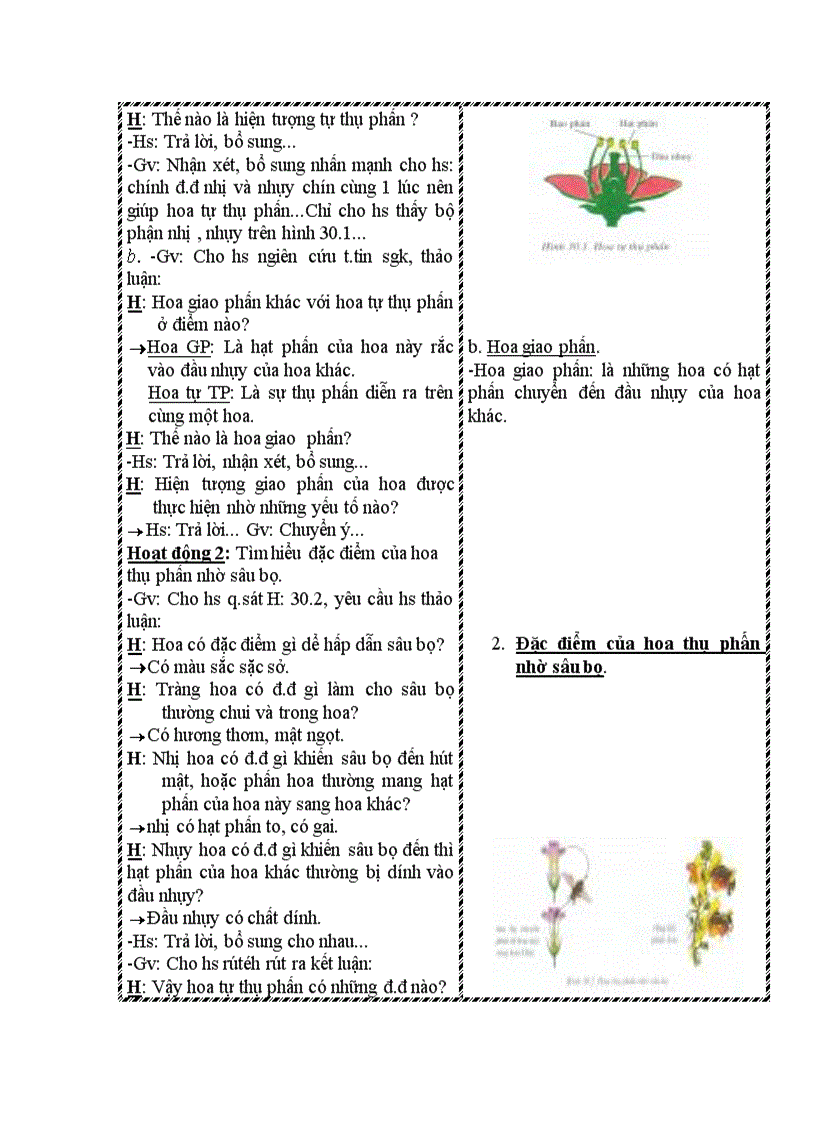 image for page Sinh học 6 chuẩn kiến thức kĩ năng ki i