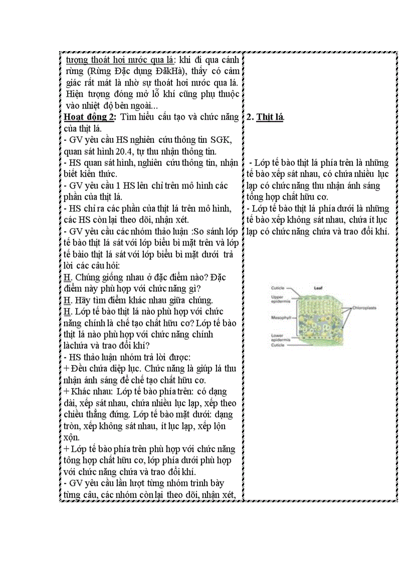 image for page Sinh hoc 6 chuan kien thuc ki năng