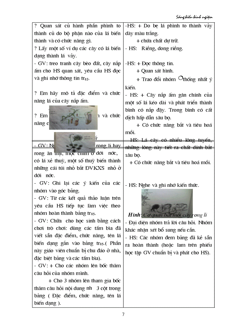 image for page SKKN mon sinh hoc 6