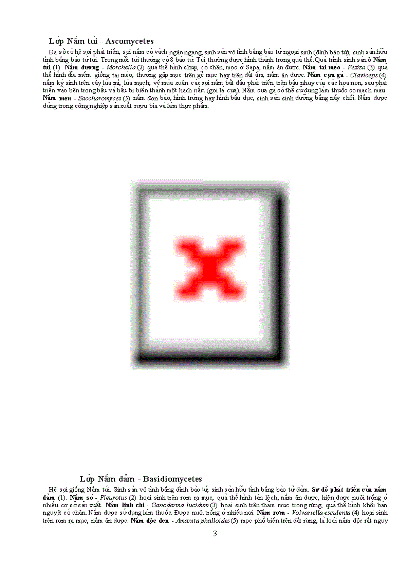 image for page Tài liệu quý về TV học