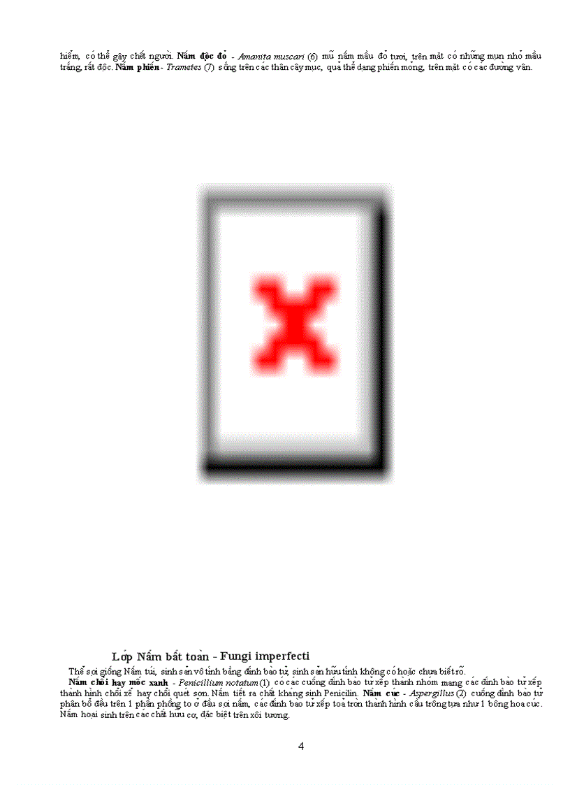 image for page Tài liệu quý về TV học