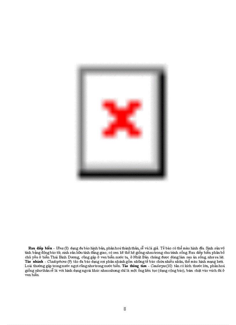 image for page Tài liệu quý về TV học