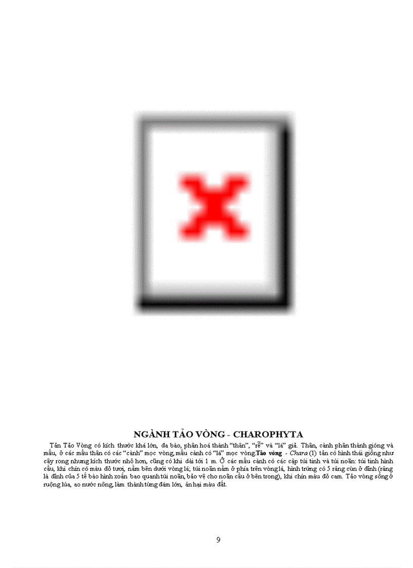 image for page Tài liệu quý về TV học