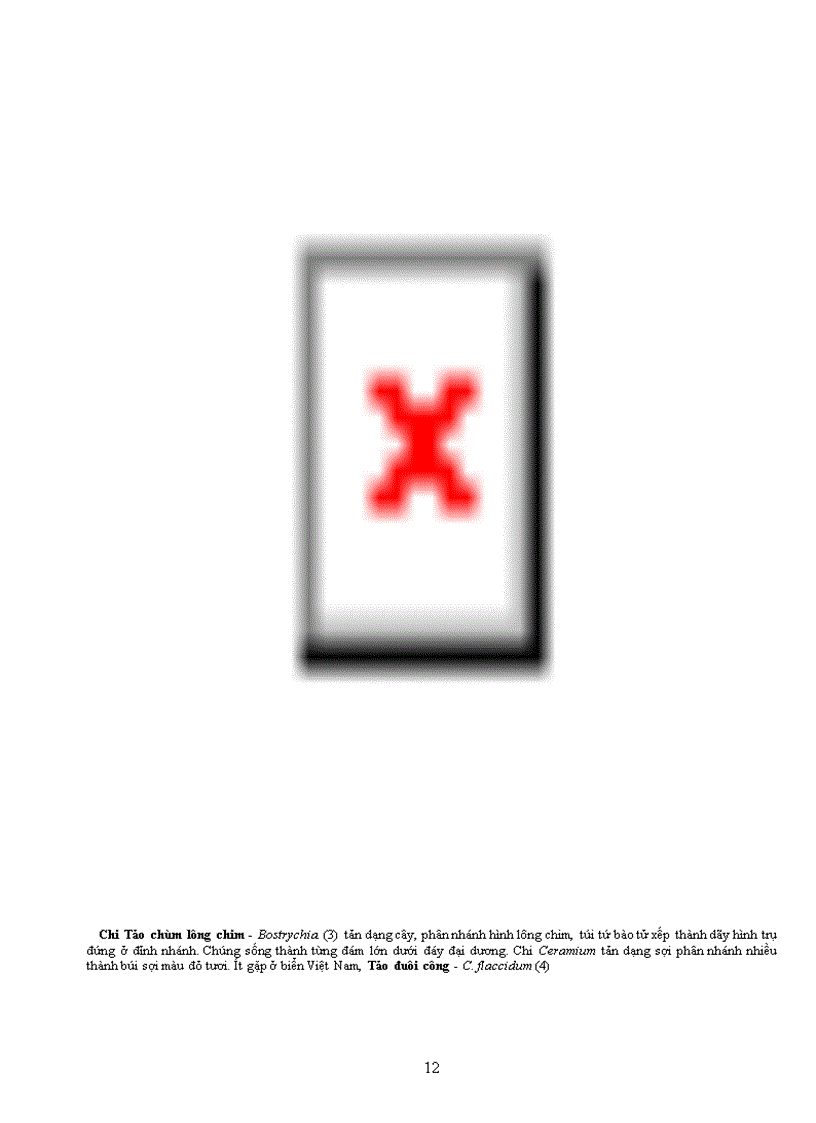 image for page Tài liệu quý về TV học