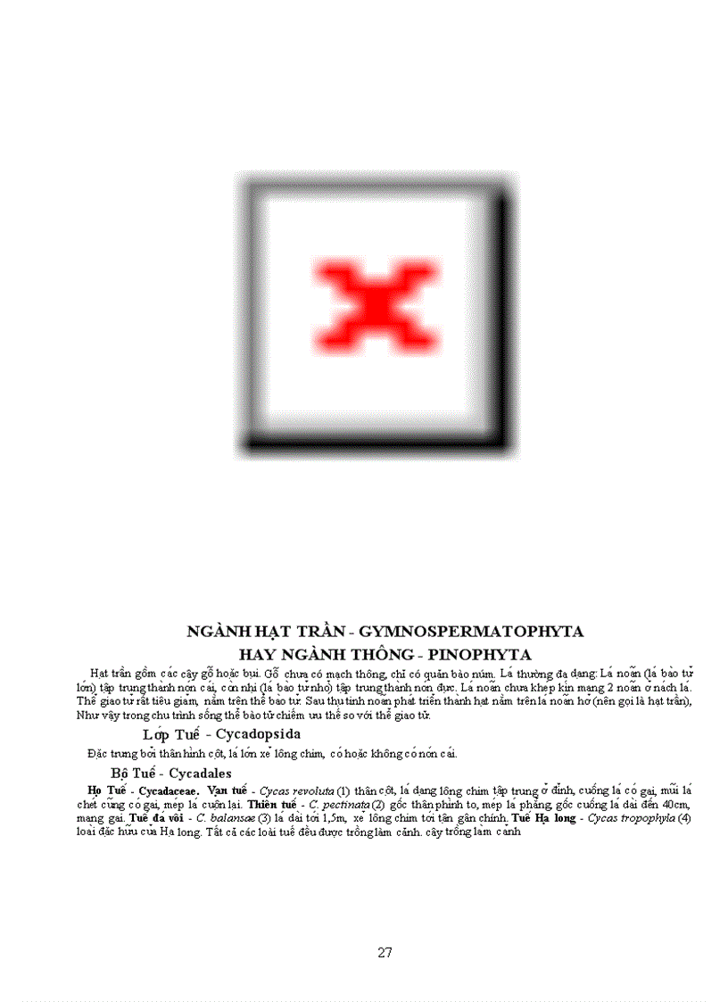 image for page Tài liệu quý về TV học