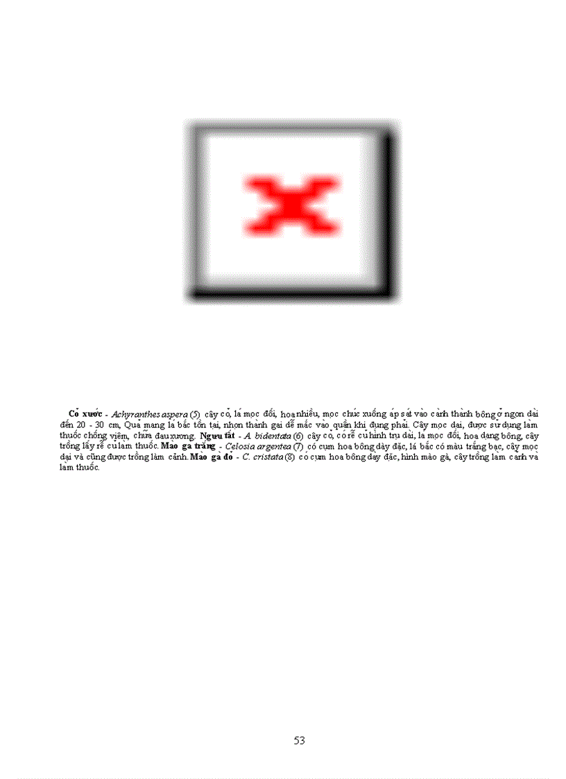 image for page Tài liệu quý về TV học