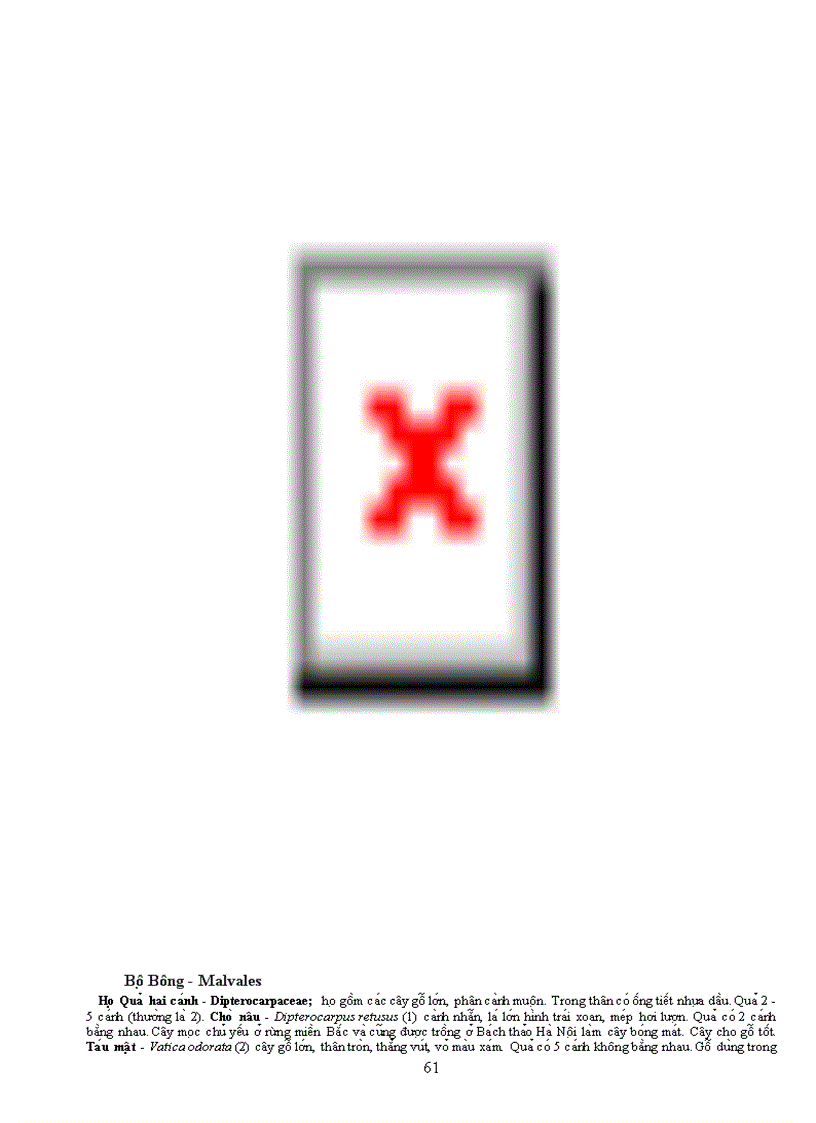 image for page Tài liệu quý về TV học