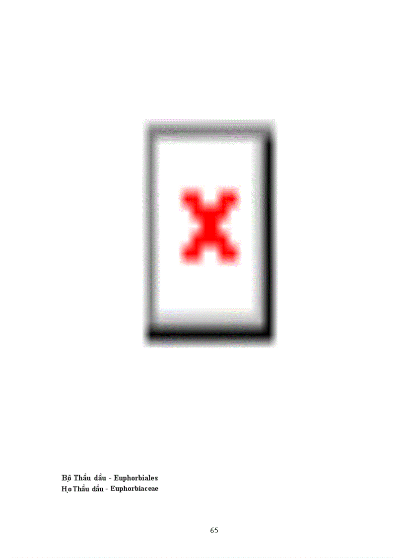 image for page Tài liệu quý về TV học