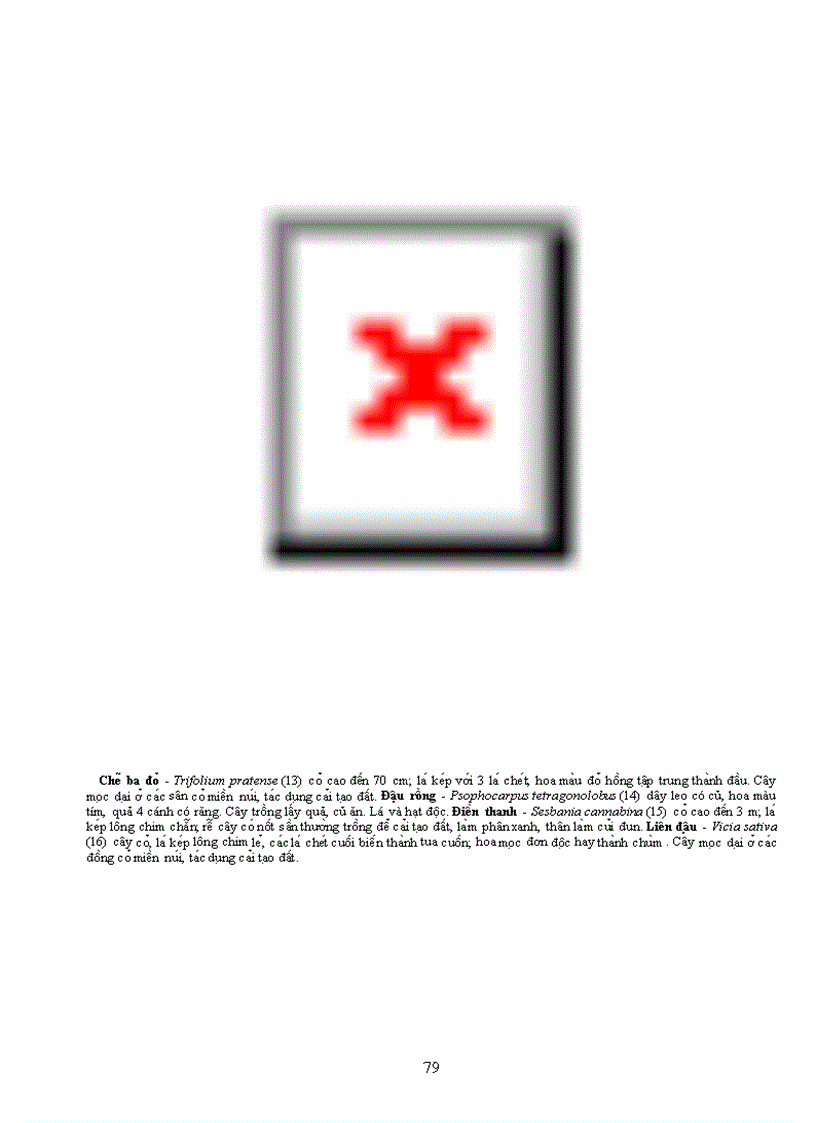 image for page Tài liệu quý về TV học