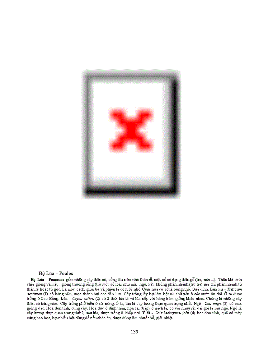 image for page Tài liệu quý về TV học