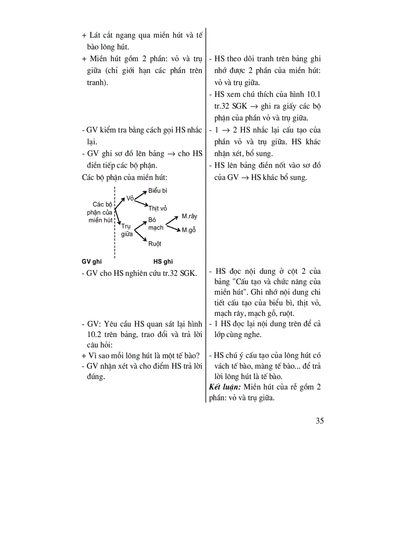 image for page Thiết kế bài giảng Sinh học 6